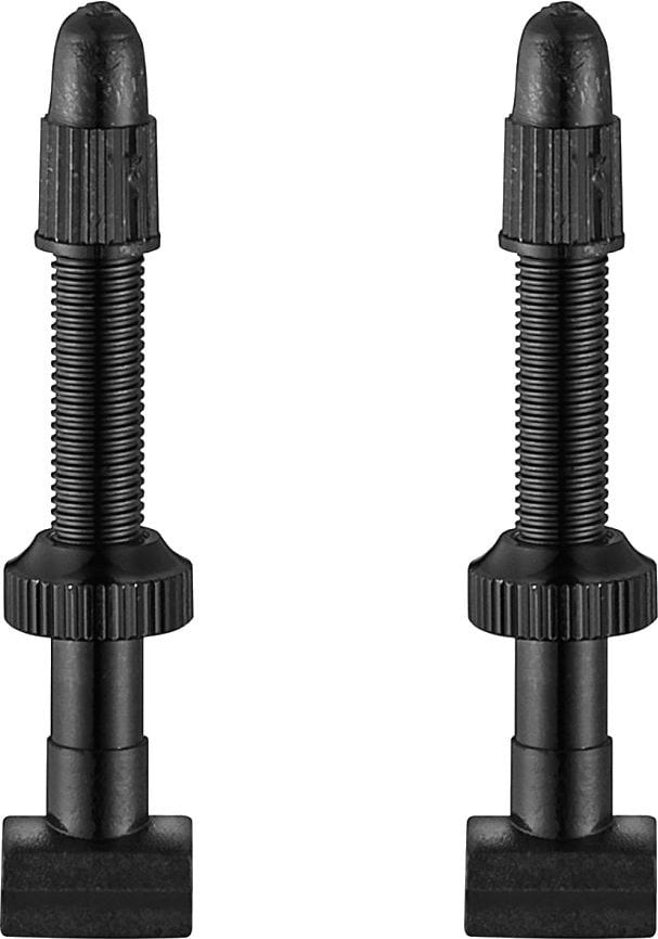 Giant Tubeless Valves