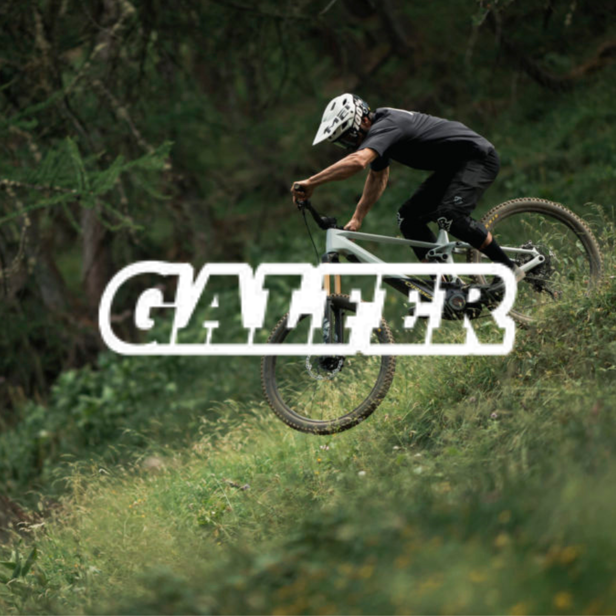 Galfer