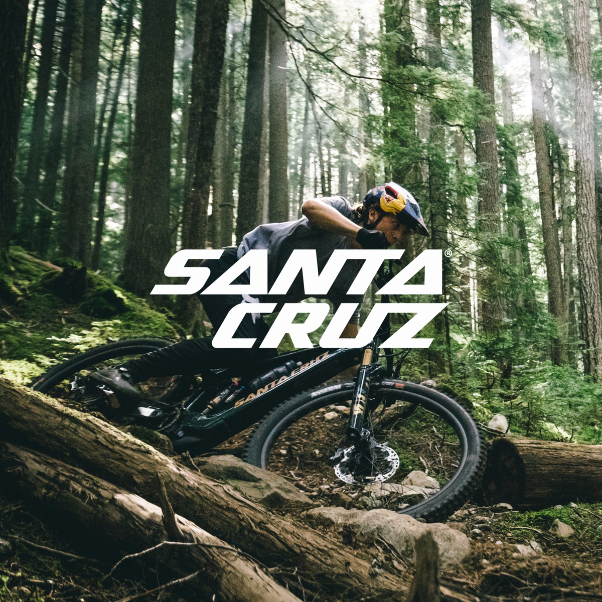 Santa Cruz
