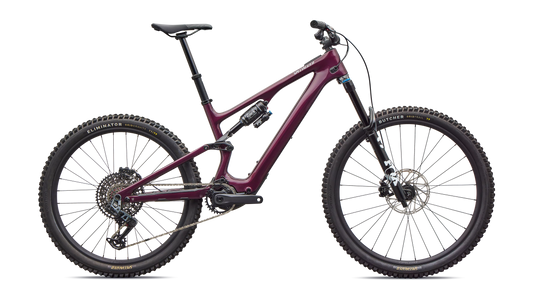 Turbo Levo SL 2 Expert