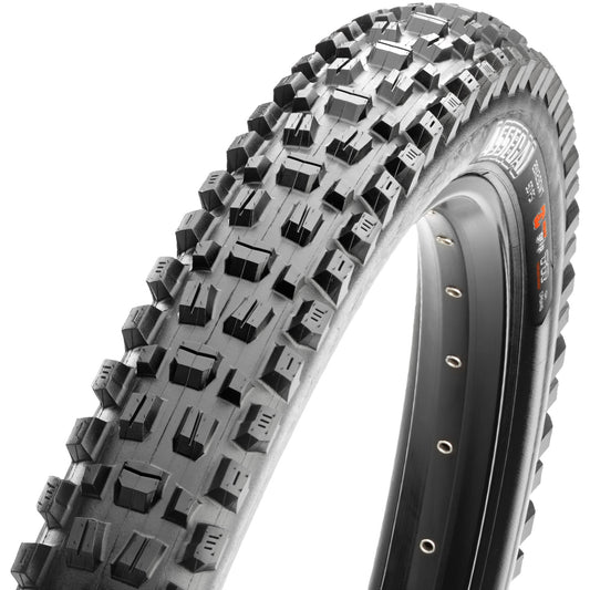 ASSEGAI 29 X 2.50 WT MAXXTERRA EXO+ TR