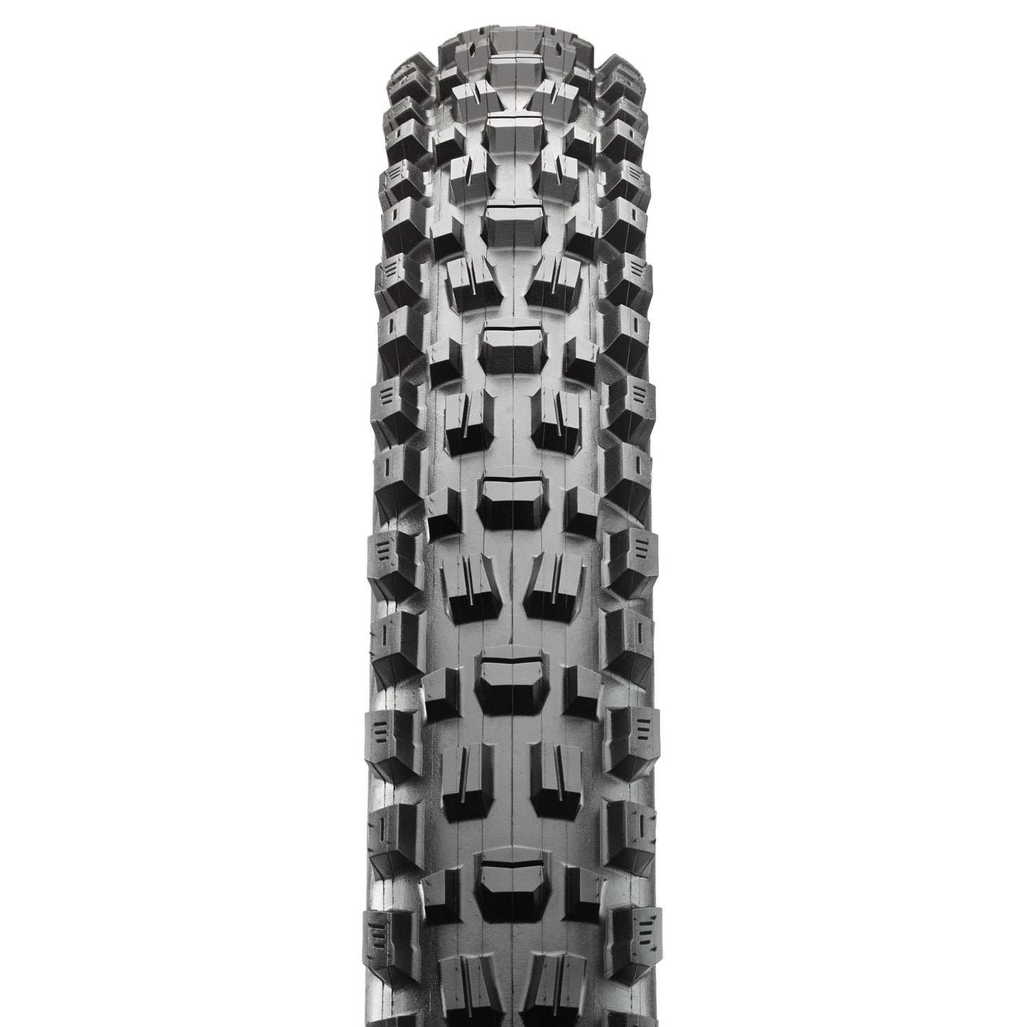 ASSEGAI 29 X 2.50 WT MAXXTERRA EXO+ TR