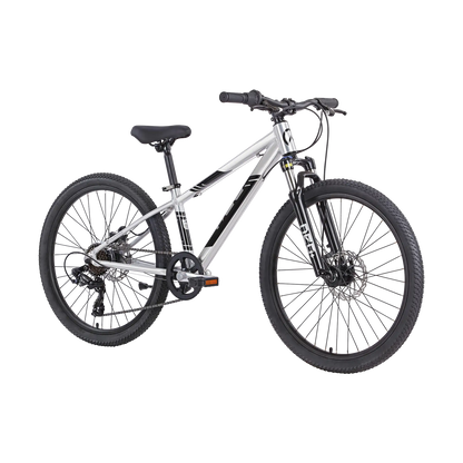 2026 Neo Disc+ 24"
