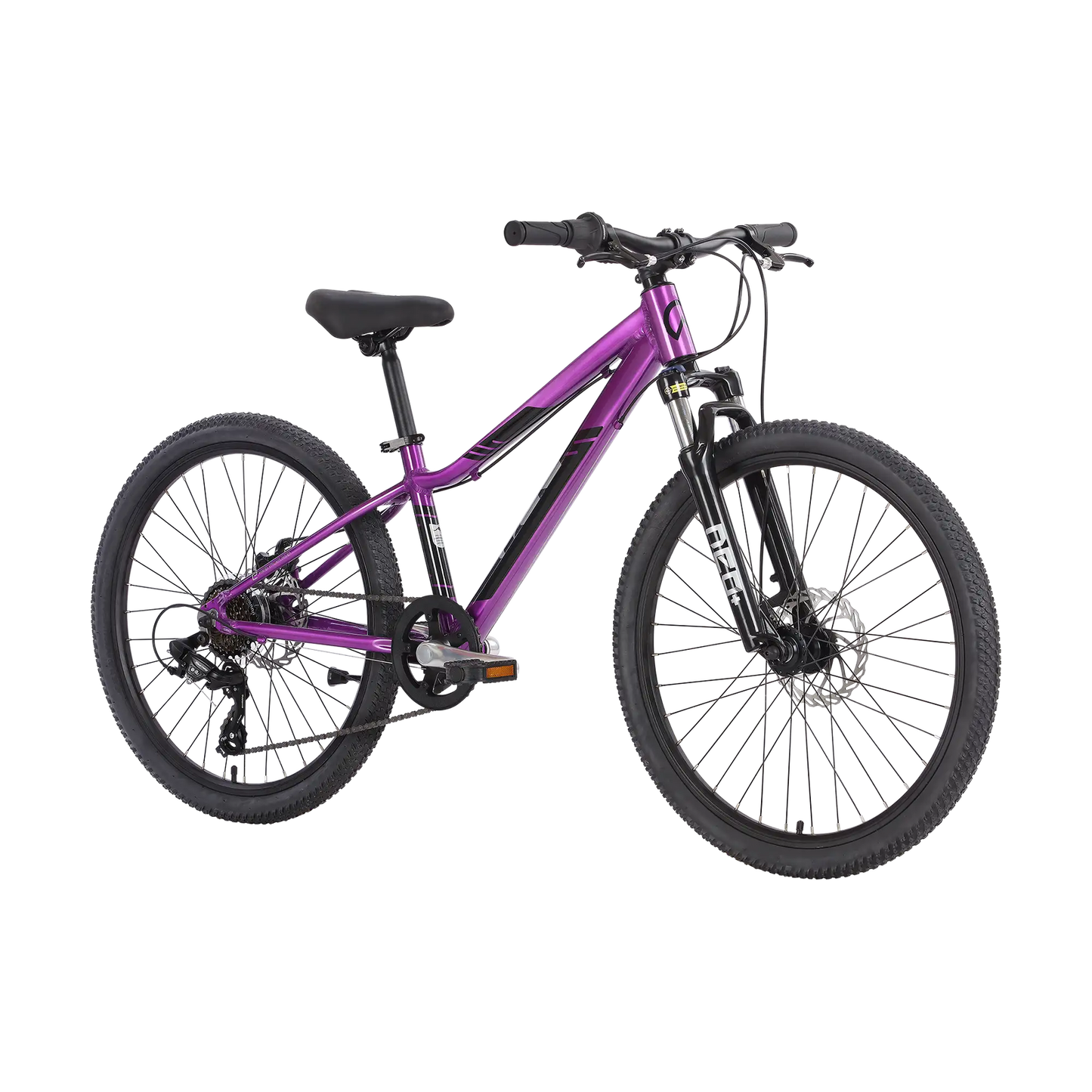 2026 Neo Disc+ 24"