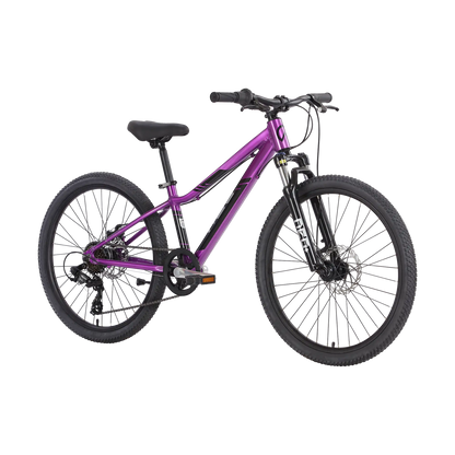 2026 Neo Disc+ 24"