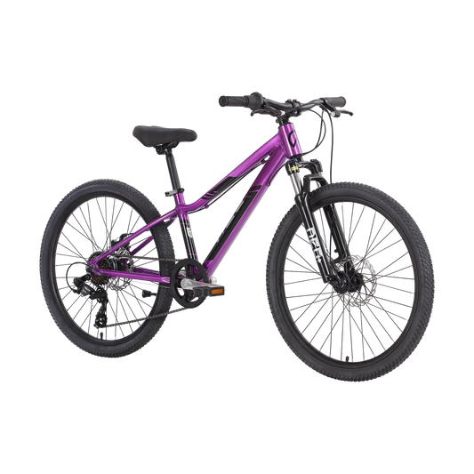 2026 Neo Disc+ 24"